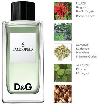 Dolce & Gabbana D&G 6 L' Amoureux frfi parfm  100ml EDT