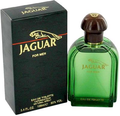 Jaguar for Men frfi parfm  100ml EDT